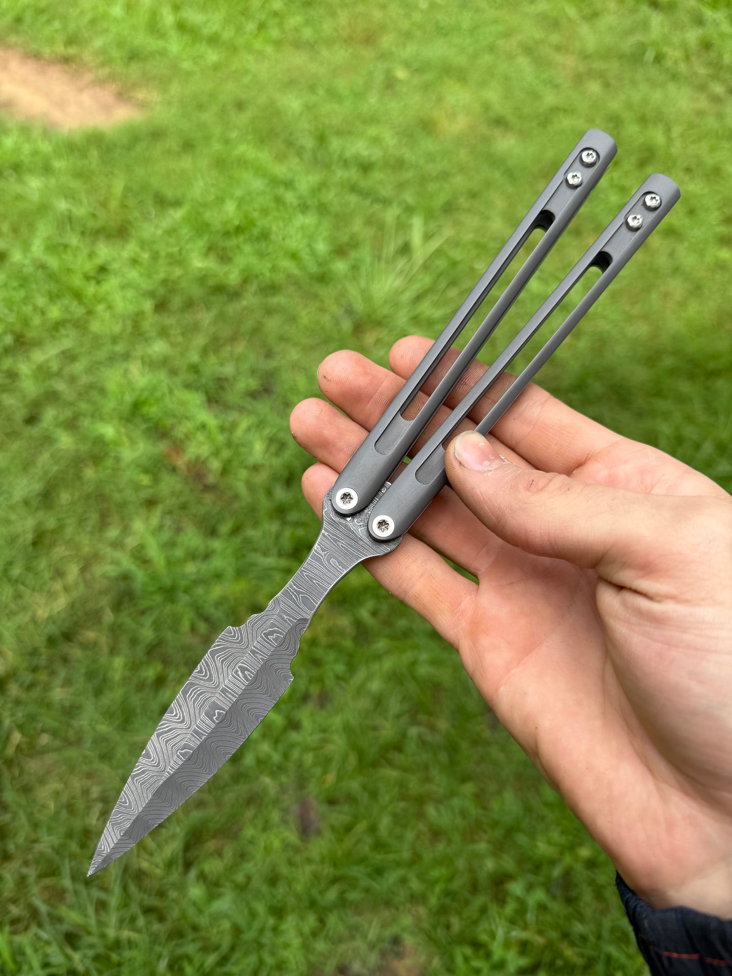 Polecat #14