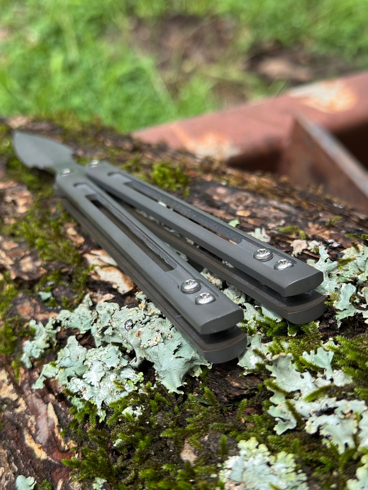 Polecat #14