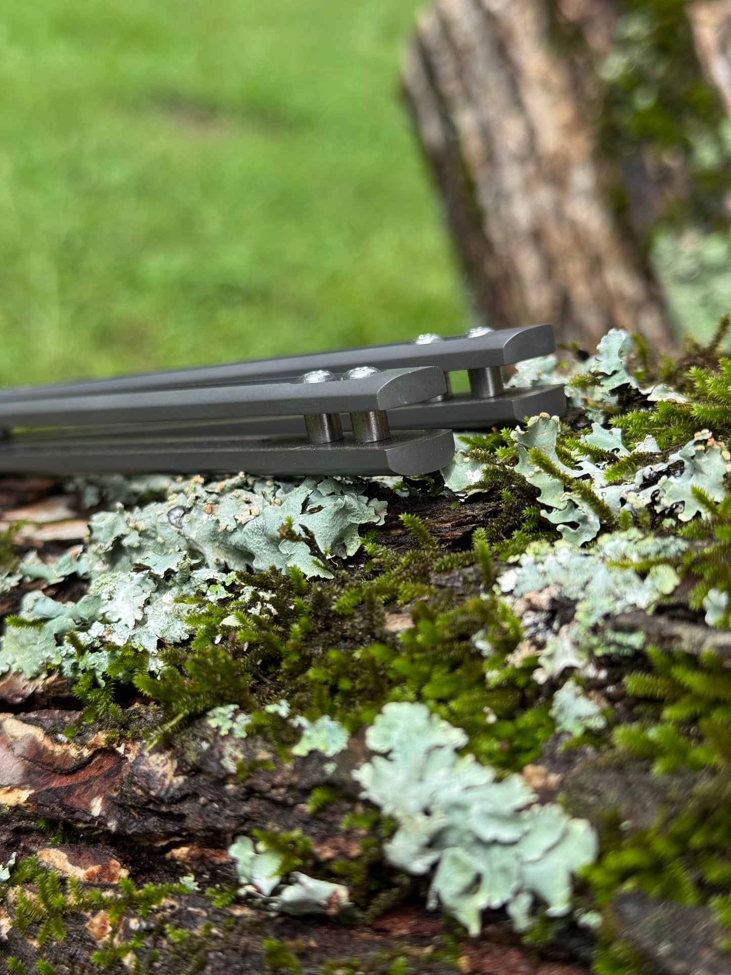Polecat #14